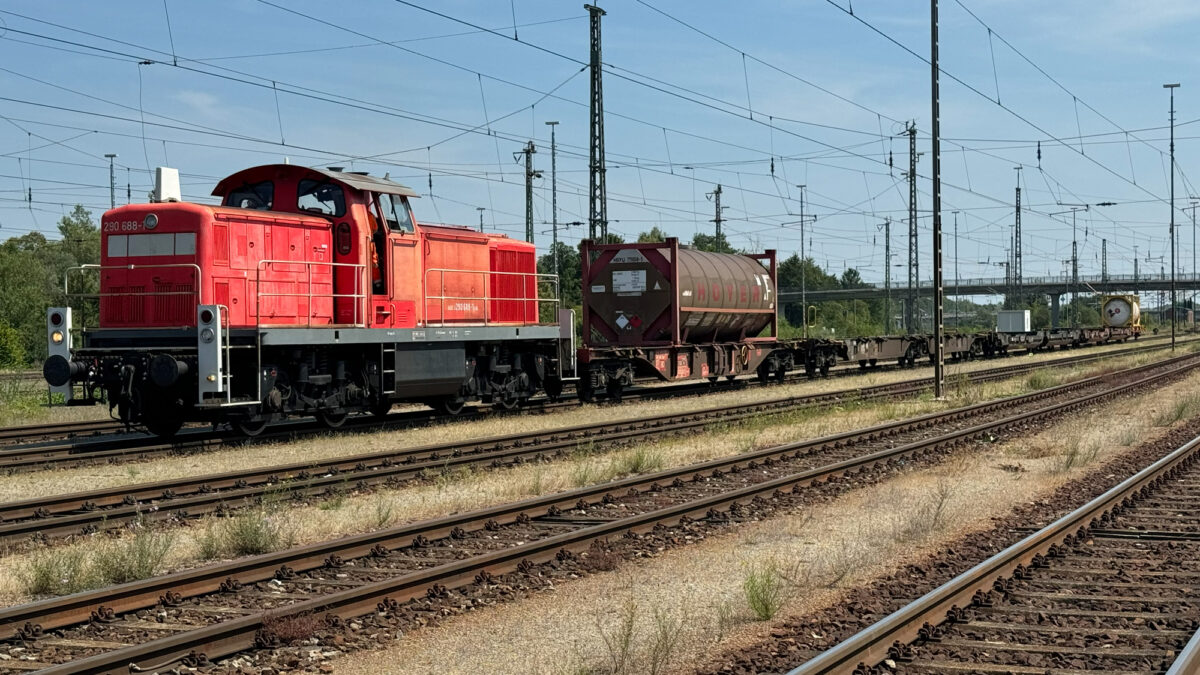 Eine rote Bahn mit Waggons steht auf einem Gleis.